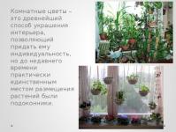 Презентация на тему растение в интерьере жилого дома Размещения комнатных растений в интерьере